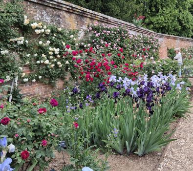 The walled garden The walled garden