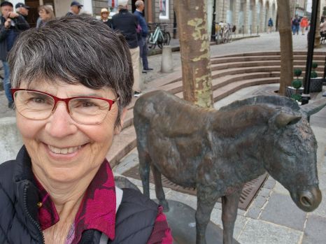 Guernsey donkey Guernsey donkey