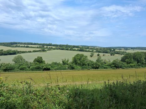 Ramblers' walk from Compton Ramblers' walk from Compton