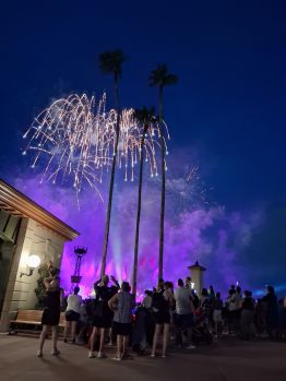 Fireworks at Epcot Fireworks at Epcot