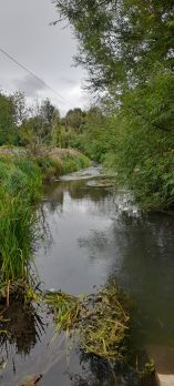 River Meon