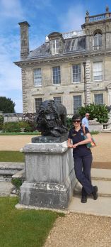 Lion at Kingston Lacy