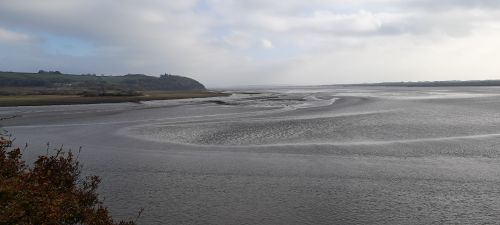 Laugharne Estuary