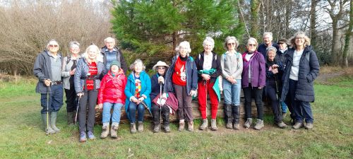 u3a walking group