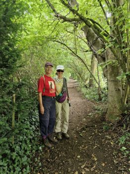 A walk at Hambledon