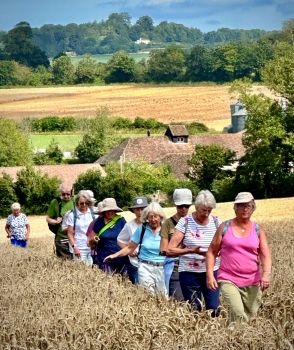 Walking through field of wheat